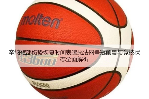 辛纳髋部伤势恢复时间表曝光法网争冠前景与竞技状态全面解析